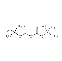 二碳酸二叔丁酯|24424-99-5 