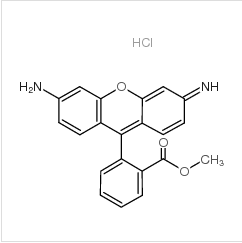 羅丹明 123|62669-70-9 