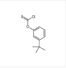 3-叔丁基苯基氯硫甲酸酯|97986-06-6 