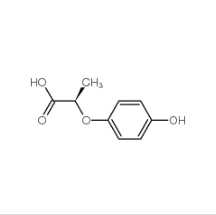 (R)-(+)-2-(4-羥基苯氧基)丙酸|94050-90-5 