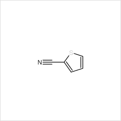 2-氰基噻吩 |1003-31-2 