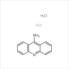 一水合鹽酸 9-氨基吖啶|52417-22-8 