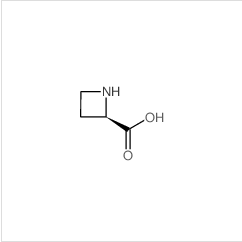 (R)-氮雜環(huán)丁烷-2-羧酸|7729-30-8 