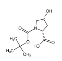 N-Boc-順式-4-羥基-D-脯氨酸|135042-12-5 