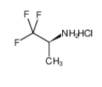 (S)-1,1,1-三氟異丙胺鹽酸鹽|125353-44-8 