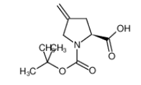 N-Boc-4-亞甲基-L-脯氨酸|84348-38-9 