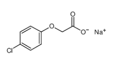 對氯苯氧乙酸鈉|13730-98-8 