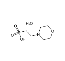 2-(N-嗎啉)乙磺酸一水物|145224-94-8 