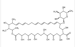 制霉菌素|1400-61-9 