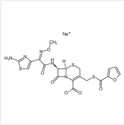 頭孢噻呋鈉	|104010-37-9	 