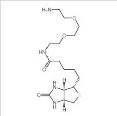 N-生物素-3,6-二氧辛烷-1,8-二胺|138529-46-1 