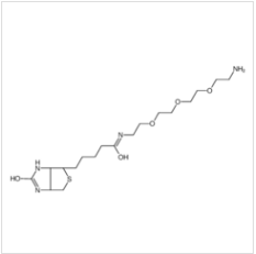 N-生物素-3,6,9-三氧雜十一烷-1,11-二胺|359860-27-8 