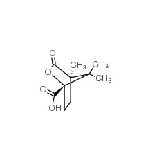 (1S)-(-)-樟腦烷酸|13429-83-9 