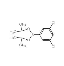 2,6-二氯吡啶-4-硼酸頻哪醇酯|408492-27-3 