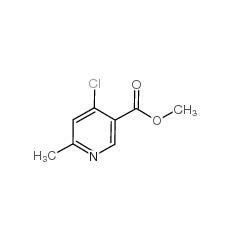 4-氯-6-甲基煙酸甲酯|886372-05-0? 