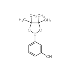 3-羥基苯硼酸頻哪酯|214360-76-6 