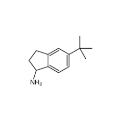 5-叔丁基-2,3-二氫-1H-茚-1-胺|935680-90-3 