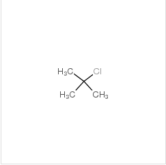 氯代叔丁|507-20-0 