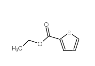 2-噻吩羧酸乙酯|2810-04-0 