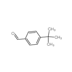 對叔丁基苯甲醛|939-97-9 