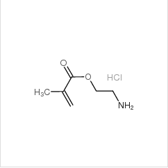 甲基丙烯酸 2-氨基乙基酯鹽酸鹽|2420-94-2 