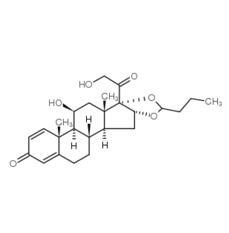 左布地奈德|51333-22-3 