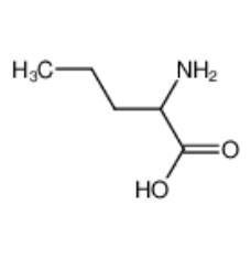 L-正纈氨酸|6600-40-4 