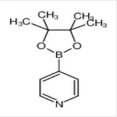 4-吡啶硼酸頻哪醇酯|181219-01-2 