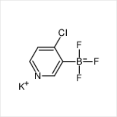 (4-氯吡啶-3-基)三氟硼酸鉀|1245906-67-5 