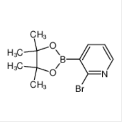 2-溴-3-吡啶基硼酸頻哪醇酯|452972-12-2 