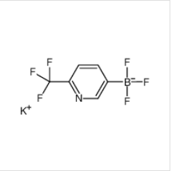 (6-三氟甲基吡啶-3-基)三氟硼酸鉀|1245906-75-5 