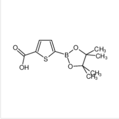 5-羧基噻吩-2-硼酸頻哪醇酯|779335-05-6 