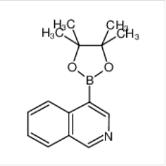 4-異喹啉硼酸頻哪醇酯|685103-98-4 