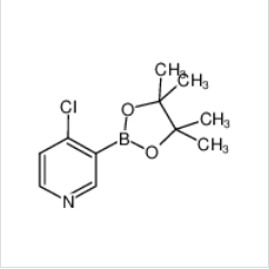 4-氯吡啶-3-硼酸頻哪酯|452972-15-5 