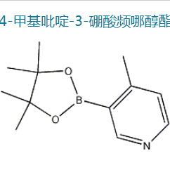 4-甲基吡啶-3-硼酸頻哪醇酯|1171891-31-8 