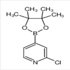 2-氯吡啶-4-硼酸頻哪醇酯|458532-84-8 