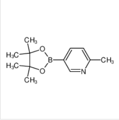 2-甲基吡啶-5-硼酸頻那醇酯|610768-32-6 