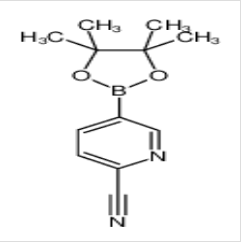 2-氰基吡啶-5-硼酸頻那酯|741709-63-7 