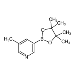 3-甲基吡啶-5-硼酸頻哪醇酯|1171891-42-1 