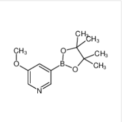 3-甲氧基-5-吡啶硼酸頻哪醇酯|445264-60-8 