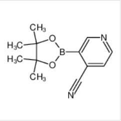 4-氰基吡啶-3-硼酸頻哪醇酯|878194-91-3 