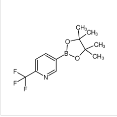 2-三氟甲基吡啶-5-硼酸頻哪醇酯|1218790-39-6 