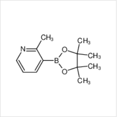2-甲基吡啶-3-硼酸頻哪醇酯|1012084-56-8 