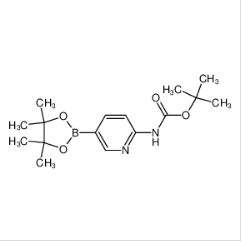 2-(BOC-氨基)吡咯烷-5-硼酸片吶醇酯|910462-31-6 