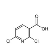 2,6-二氯煙酸|38496-18-3 