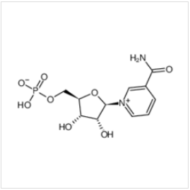 Β-煙酰胺單核苷酸|1094-61-7 