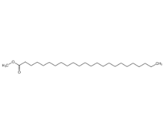 木蠟酸甲酯|2442-49-1 