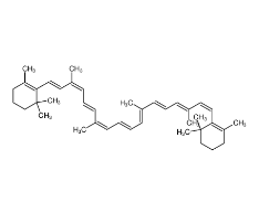 β-胡蘿卜素|7235-40-7 