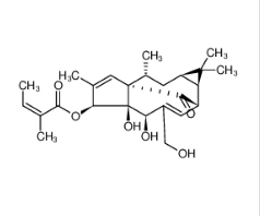 巨大戟醇-3-O-當(dāng)歸酸酯|75567-37-2 