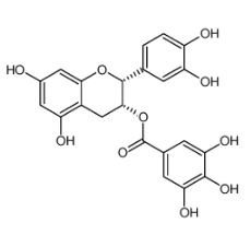 (-)-表兒茶素沒食子酸酯|1257-08-5 